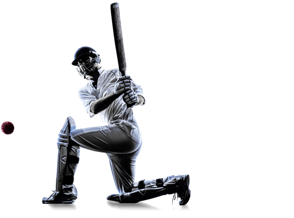 cricketer in silhouette